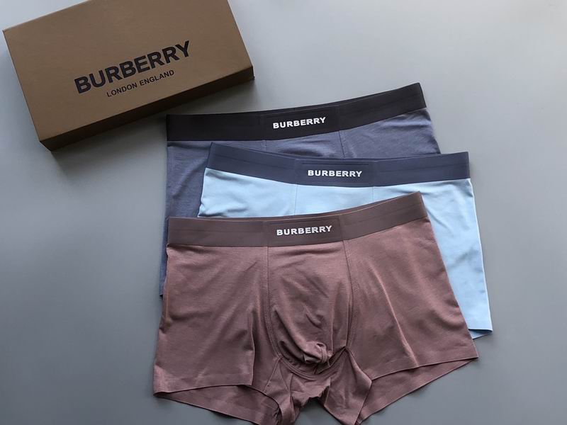 Burberry Boxer L-4XL 07 (1)